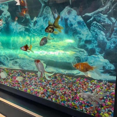 The Pera 酒店 马尔马里斯