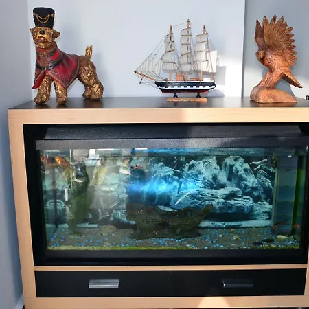 酒店 The Pera *